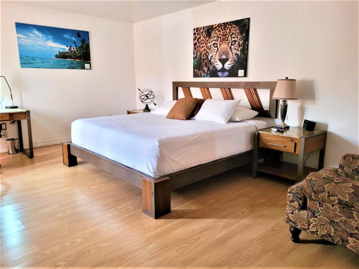 Hotel Zima San Isidro De El General Экстерьер фото